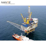 31-Davit Crane for offshore oil&gas production platform - 副本