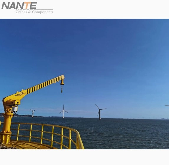 Fem Standard Offshore Davit Jib Crane for Offshore Lifting Operations