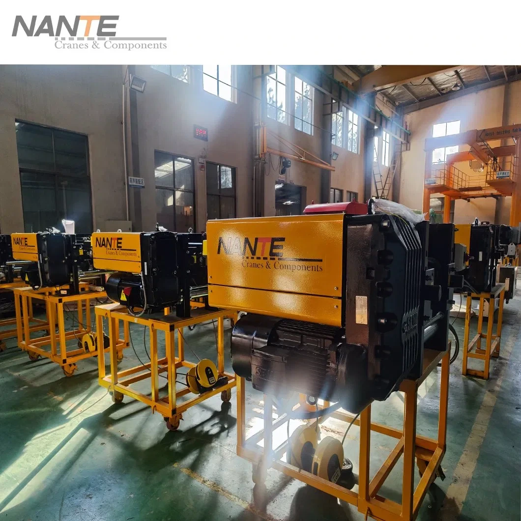 Electric Wire Rope Hoist manufacturer