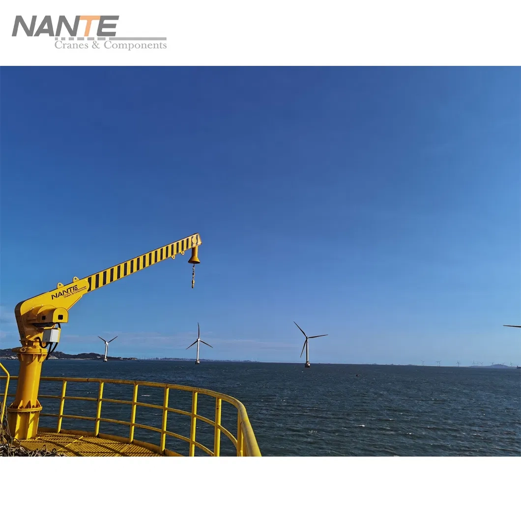 Fem Standard Offshore Davit Jib Crane for Offshore Lifting Operations