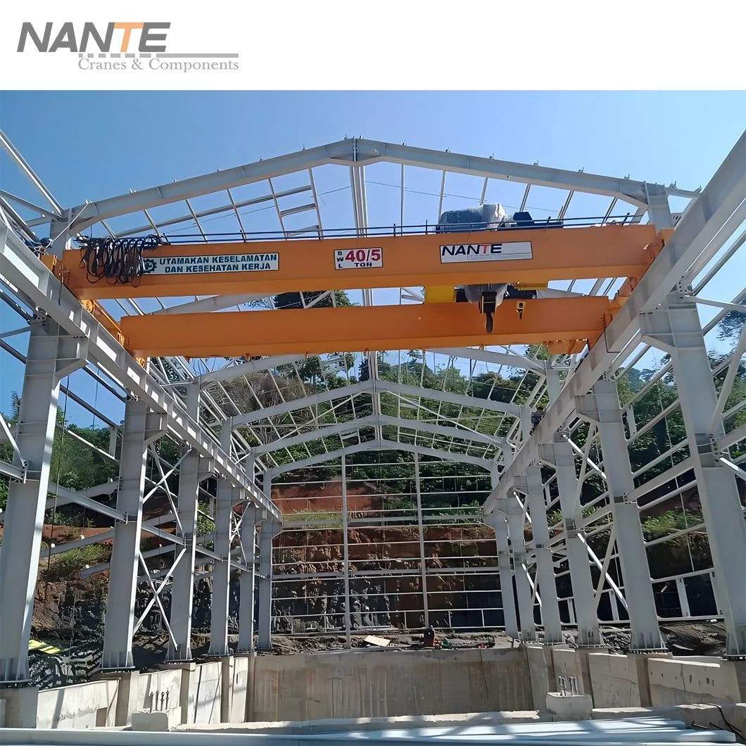 Double Girder Overhead Crane Manufacturer