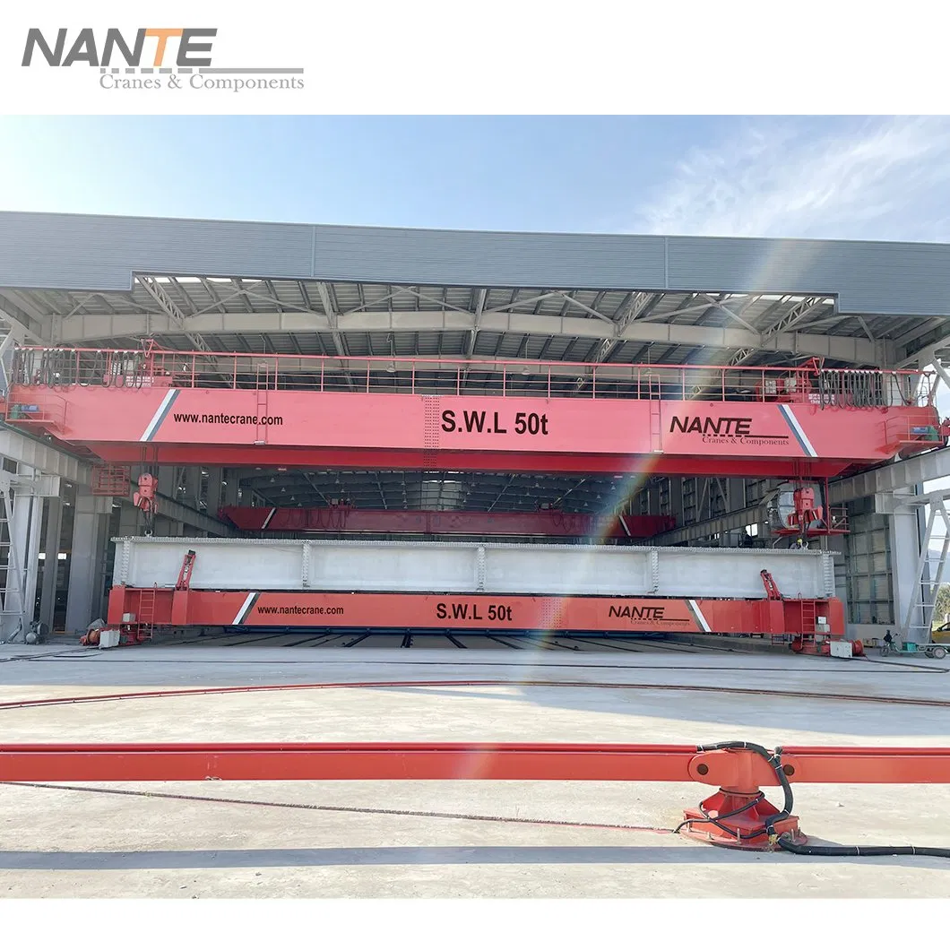 Double-girder bridge crane manufacturer