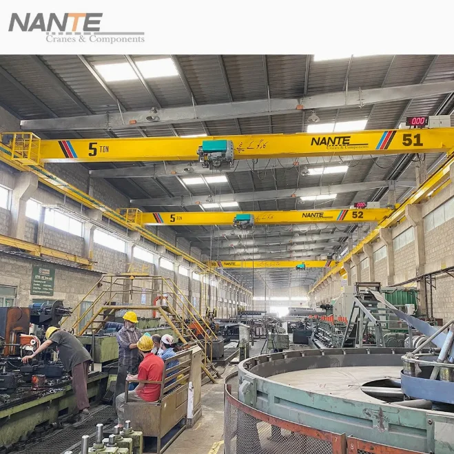 European Style Electric Hoist Single Beam Girder Overhead Bridge Crane 5 Ton